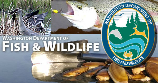 Washington-Department-of-Fish-and-Wildlife