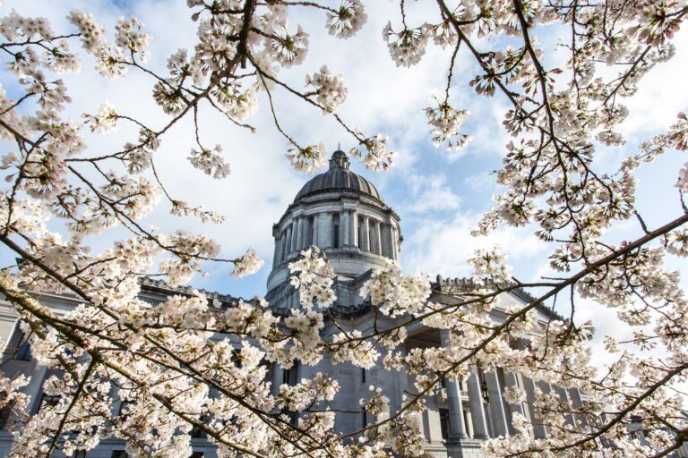 Washington State 2023 Legislative Session - State Capitol in Spring. Photo courtesy of Washington State Senate Republican Caucus